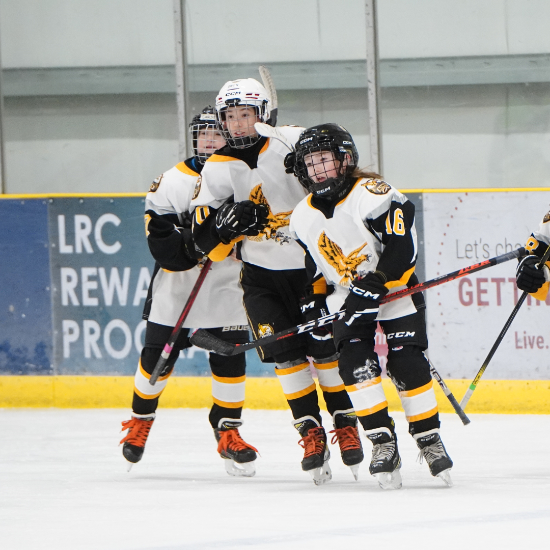 Edmonton Hockey for Kids ages 4 through 12 (1)