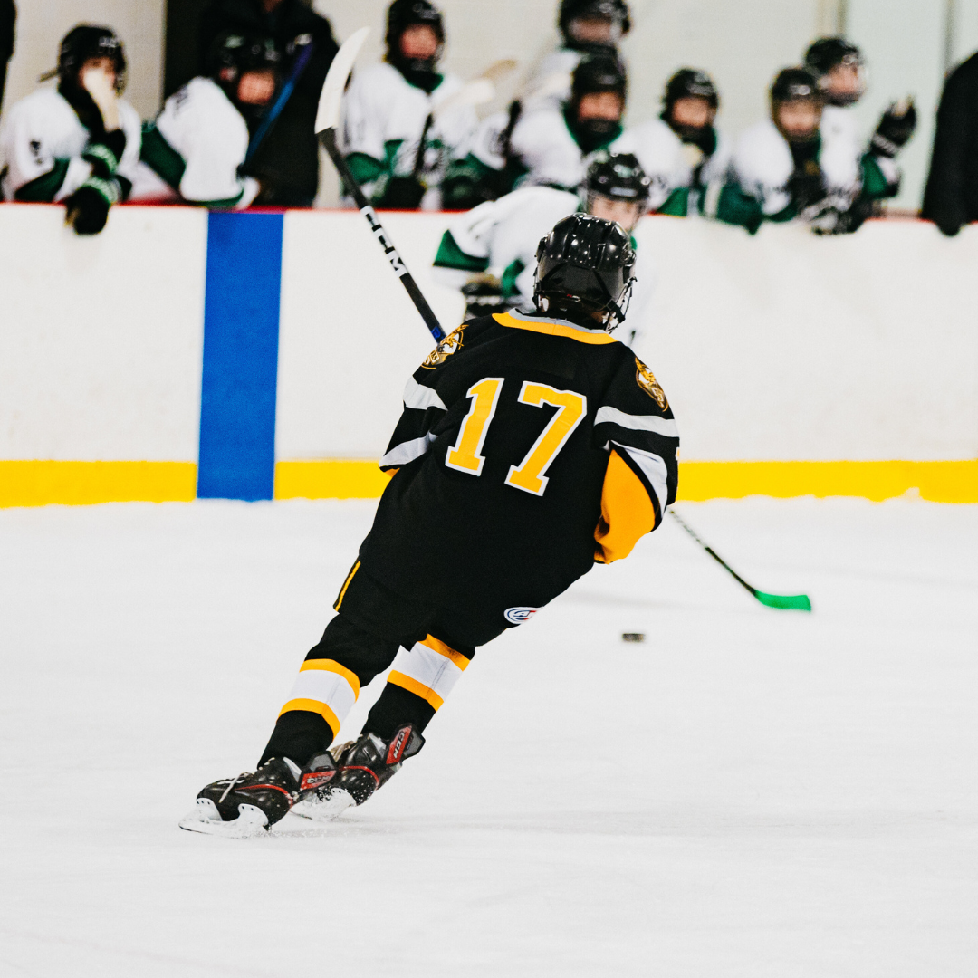 Edmonton Minor Hockey Ages 4 through 12 (3)