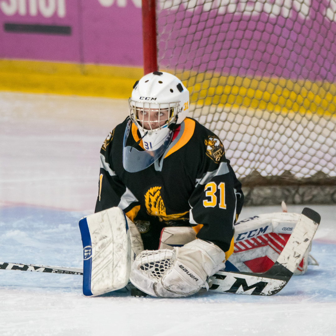 Edmonton Minor Kids Hockey (2)