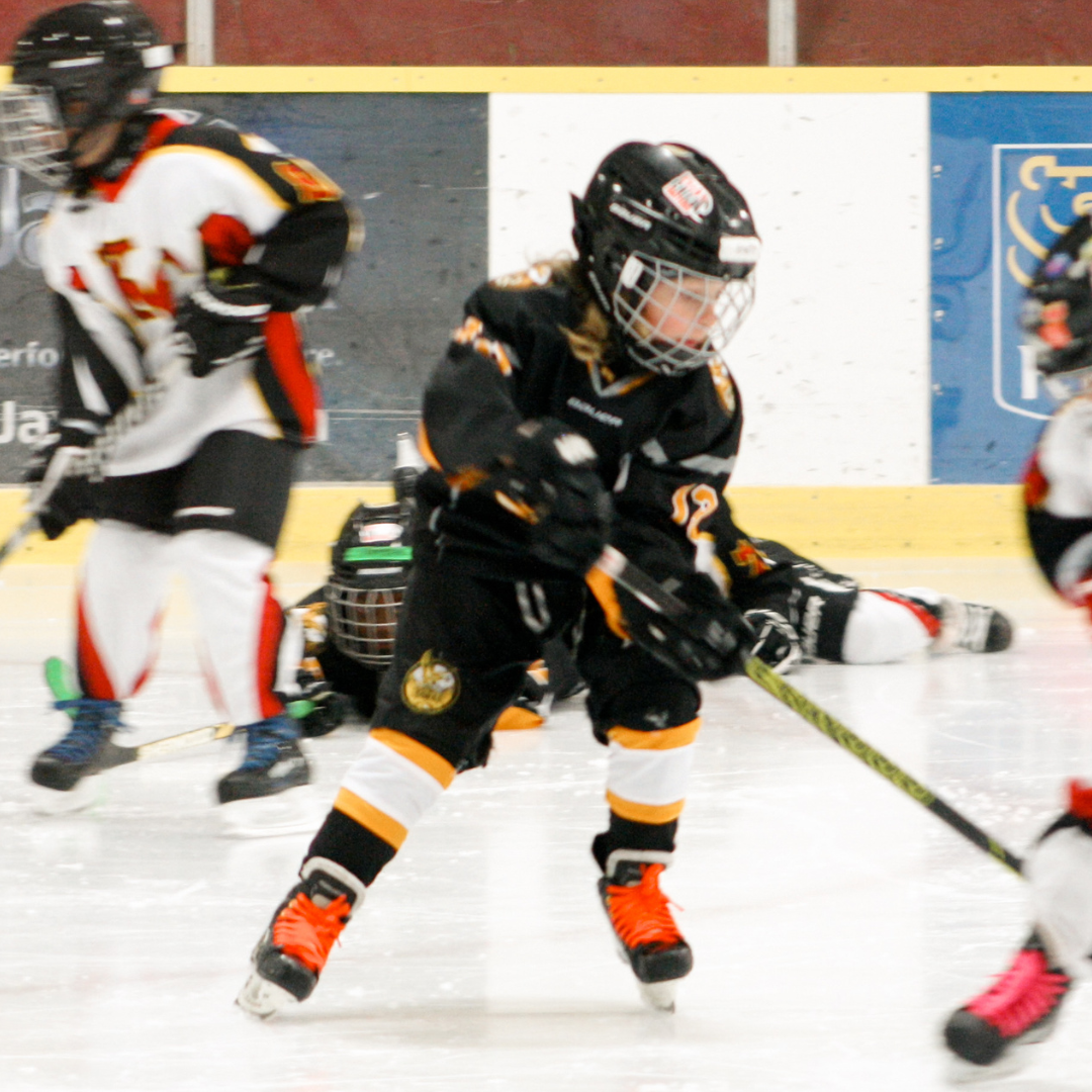 Hockey for age 7 Edmonton Minor